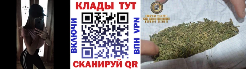 Магазин наркотиков Новоалександровск Каннабис  Alpha-PVP  Кокаин  Гашиш  МЕФ 
