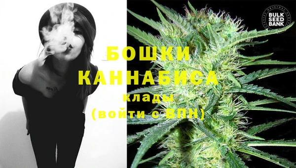 Альфа ПВП Аркадак