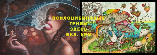 Альфа ПВП Аркадак